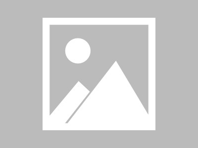 双鸭山信息咨询服务，eq的未来方向