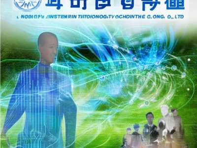 廊坊树森信息技术咨询有限公司，助力企业数字化转型